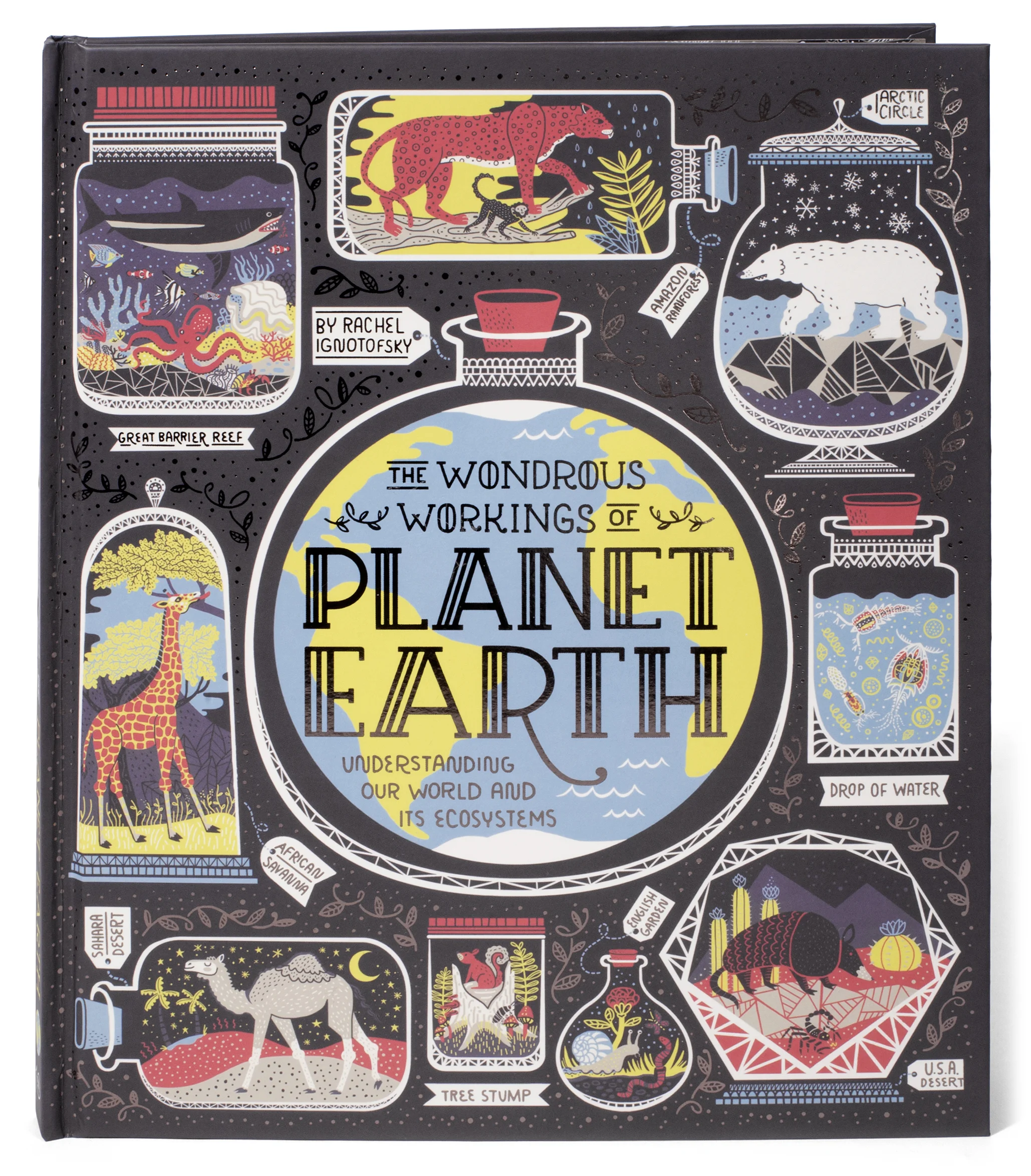 The Wondrous Workings of Planet Earth — Rachel Ignotofsky Design